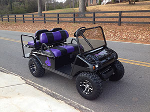 Customized Golf Cart from Top Dog