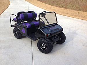 Customized Golf Cart from Top Dog