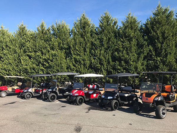 Several golf carts of different colors are parked in a row on a paved lot in front of tall green trees under a clear blue sky.