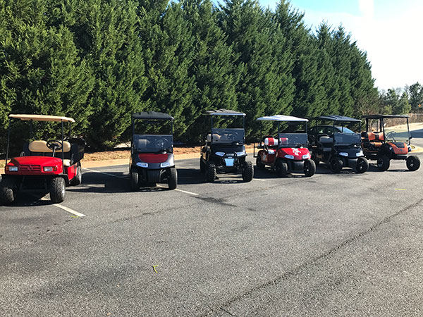 Six golf carts of various colors are parked in a row on an asphalt lot with tall green trees in the background.